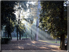 foto Parco di Villa Borghese